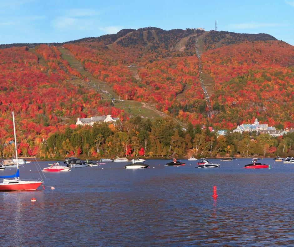 Amazing Lakemountain View 5Min To Tremblant 491 Mont-Tremblant Exterior foto